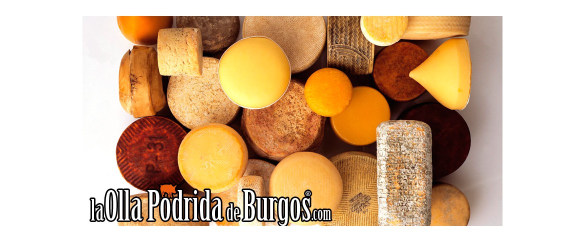 La Vuelta a España en 24 quesos