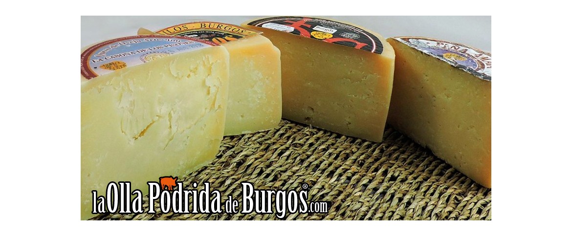 Aprendamos a conservar nuestros quesos. Ellos también nos quieren.