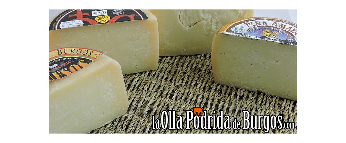 10 quesos de España que deberiamos probar antes de morir