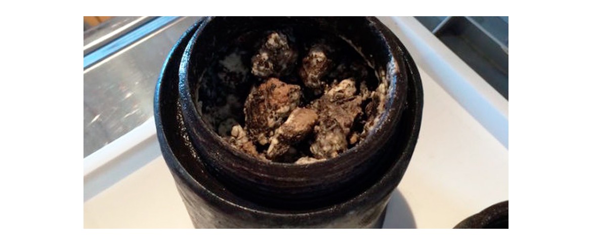 ¿Te gusta el queso añejo? Encontrado uno de 340 años de curación.