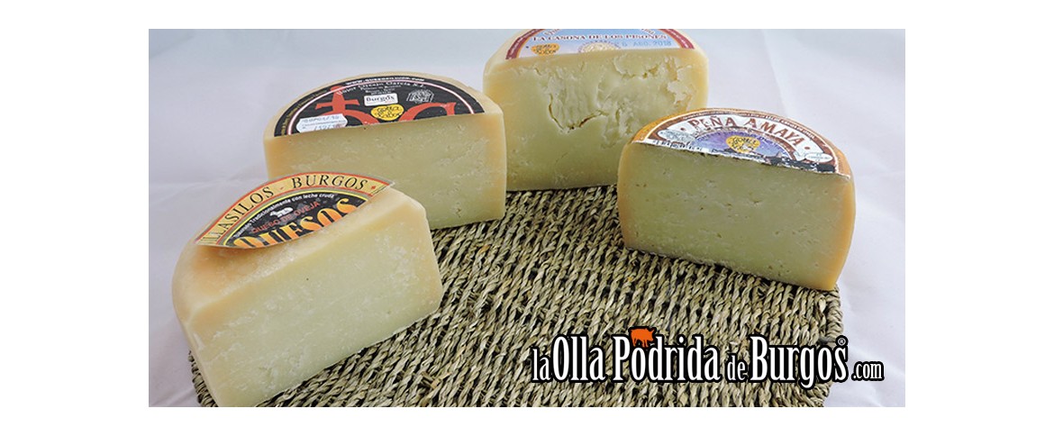 De la oveja a tu mesa ¡Vivan los Quesos de Burgos!