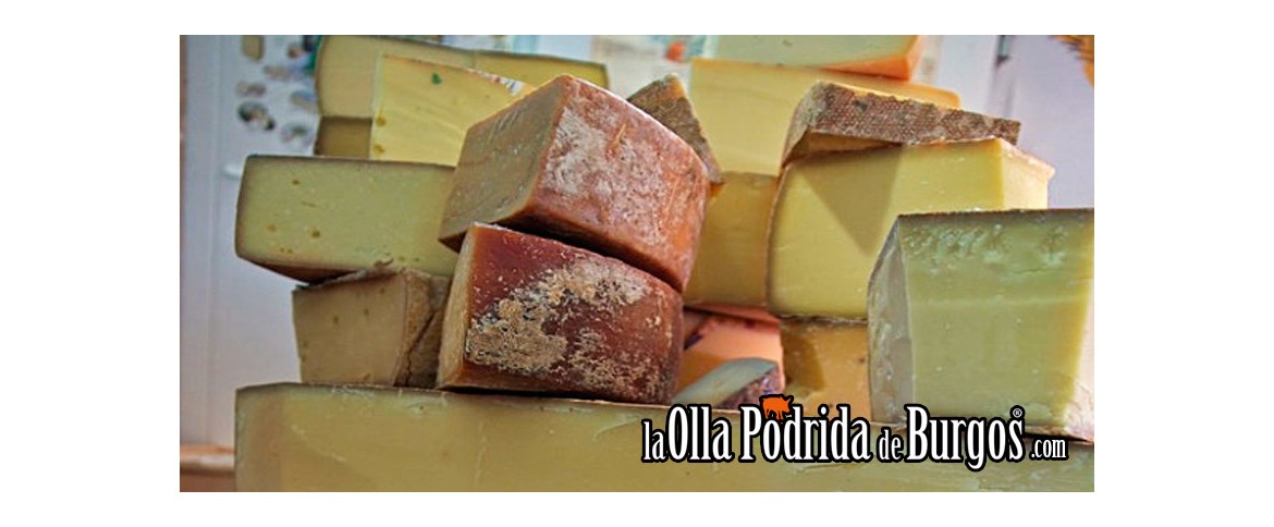 Quesos de Burgos y Castilla y León, un gusto por lo bueno