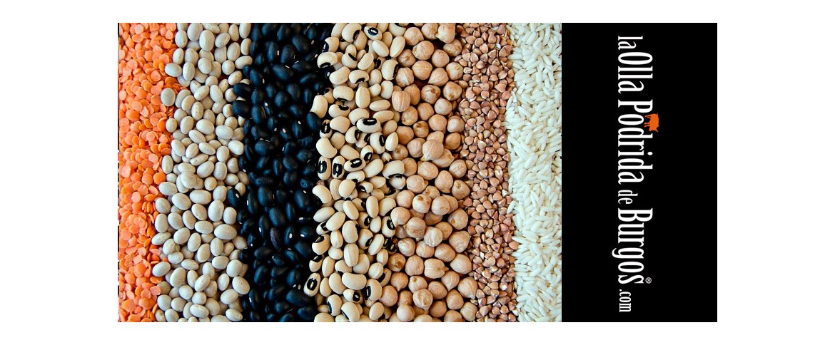 ¿Cual es tu legumbre favorita?