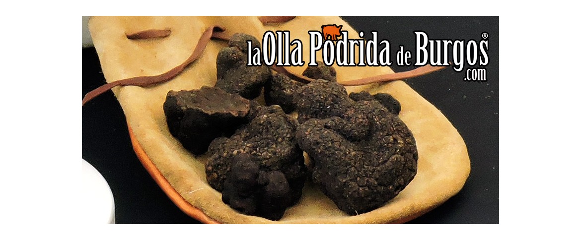 II Feria de la Trufa Negra en Quintanalara - Burgos