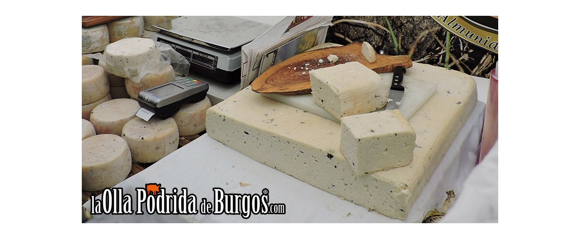 Queso mantecoso de oveja con trufa