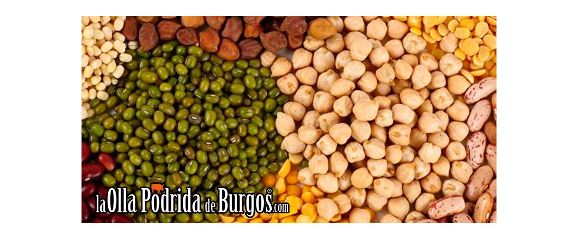 Este 2016, Año Internacional de las Legumbres, ole